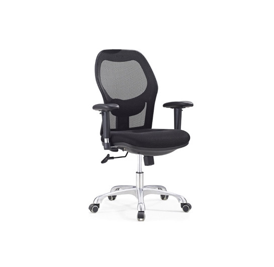 Mujaan Mesh Low Back Ergonomic Chair