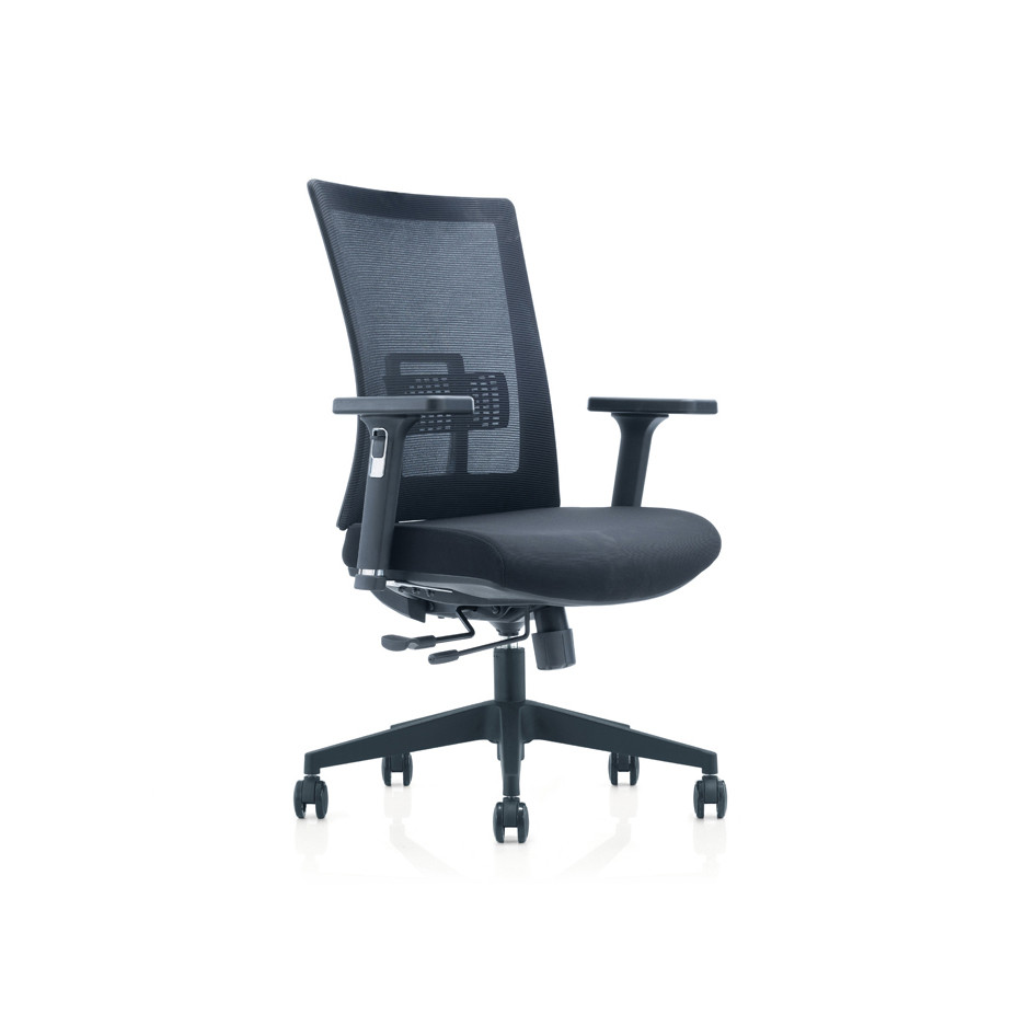 Sujaan Mesh Low Back Ergonomic Chair