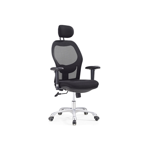 Mujaan Mesh High Back Ergonomic Chair