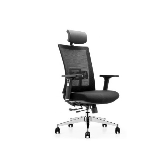 Sujaan Mesh High Back Ergonomic Chair